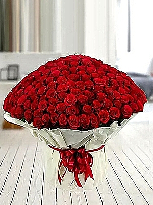 500 Adet G�l Demeti